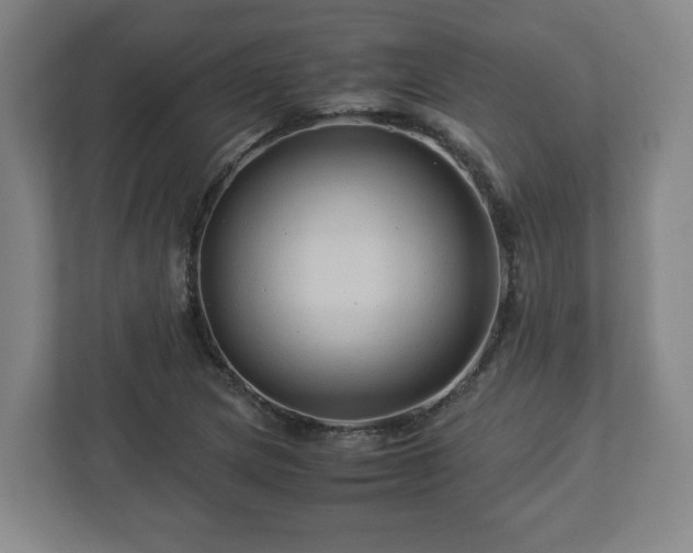 X0000113091217200909041142
