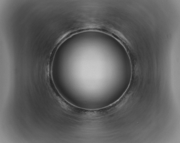 X0000113091220200909041142