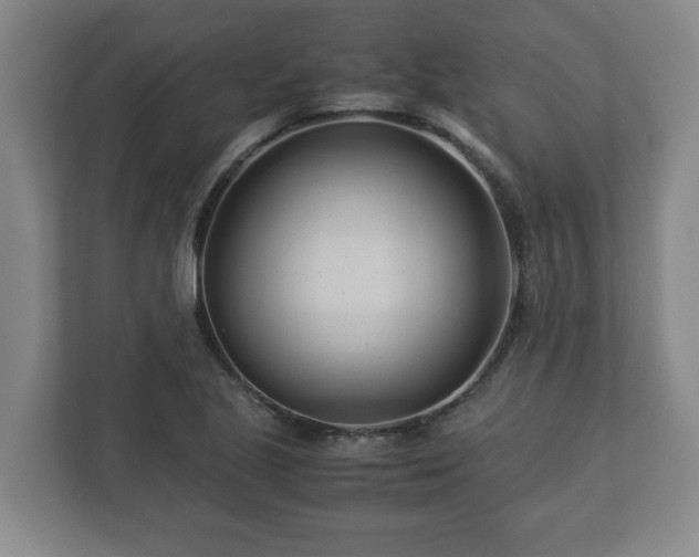 X0000113091221200909041142