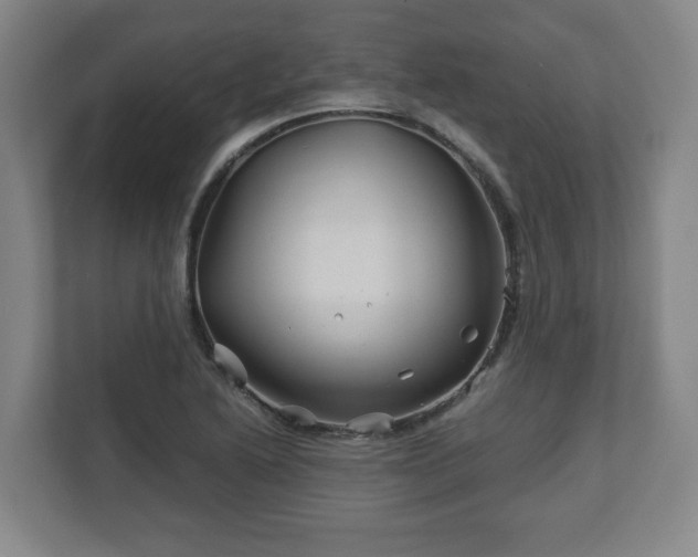 X0000113091222200909041142