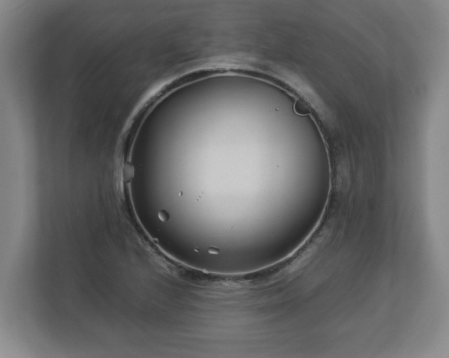 X0000113091224200909041142