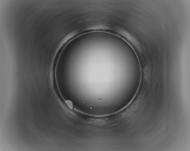 X0000113091229200909041142