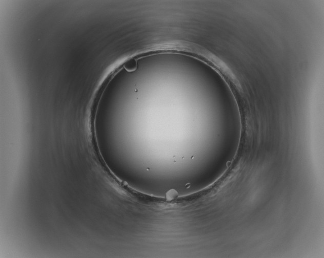 X0000113091230200909041142