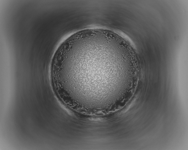 X0000113091231200909041142