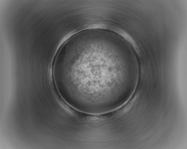 X0000113091234200909041142