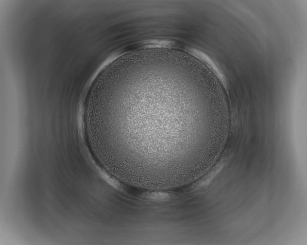 X0000113091235200909041142
