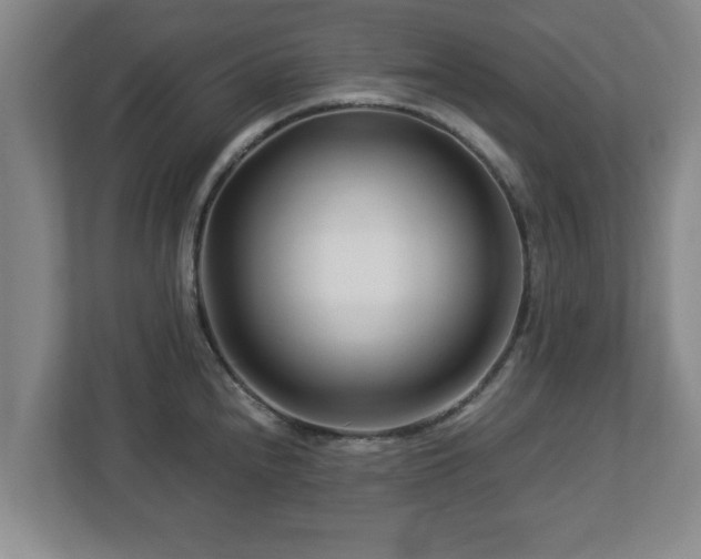 X0000113091240200909041142