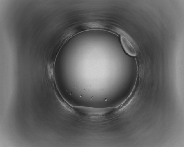X0000113091241200909041142