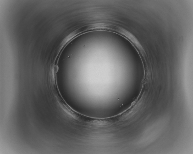 X0000113091242200909041143