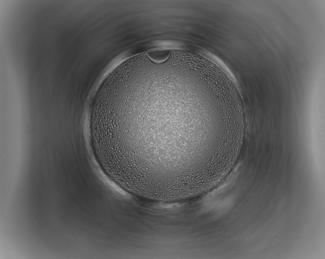 X0000113091243200909041143
