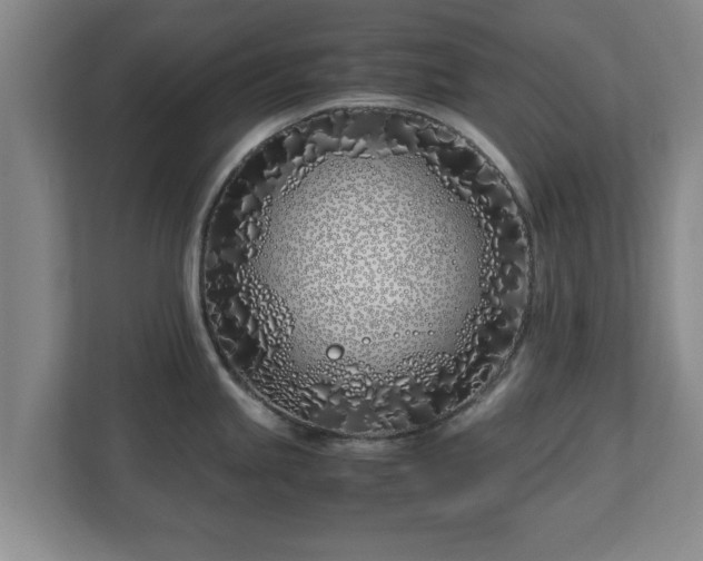 X0000113091245200909041143