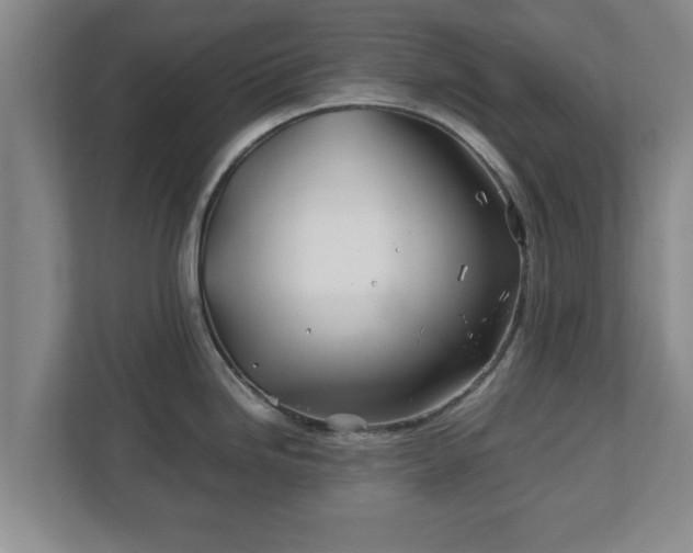 X0000113091246200909041143