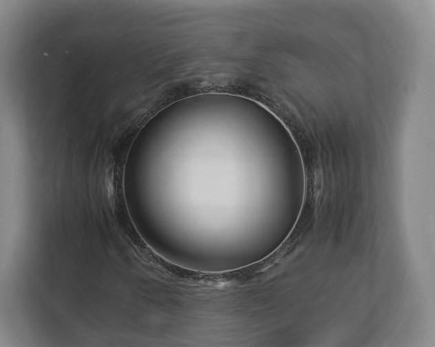 X0000113091250200909041142