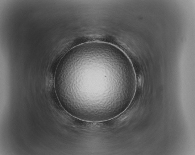 X0000113091251200909041142