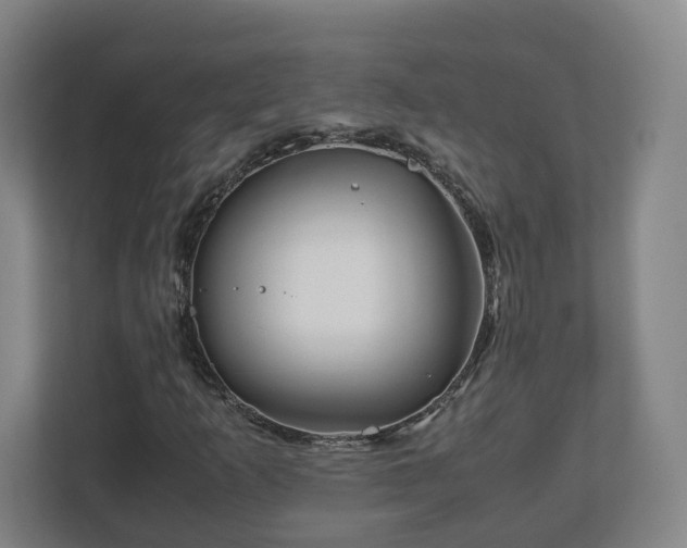 X0000113091253200909041142