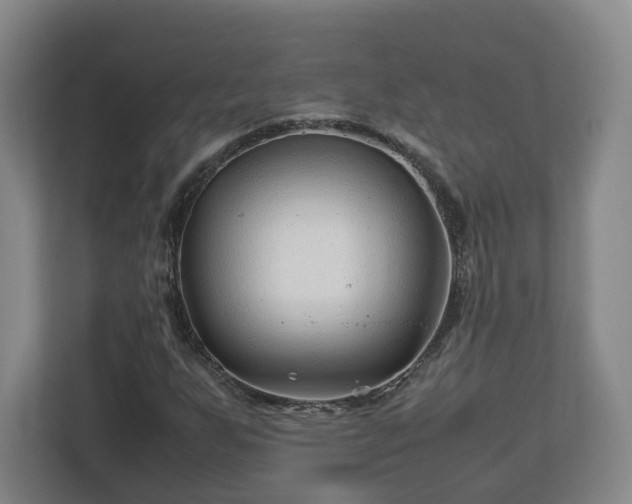 X0000113091255200909041142