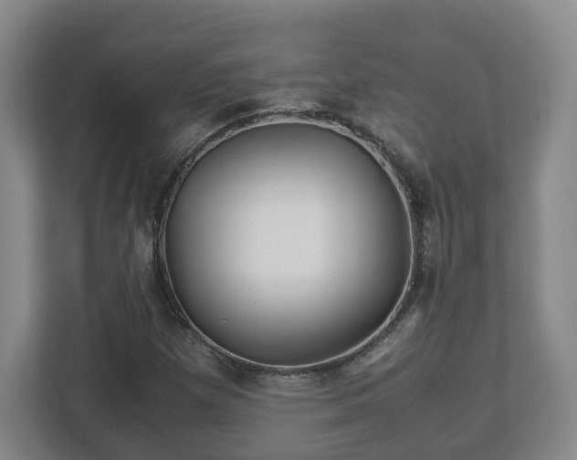 X0000113091257200909041142