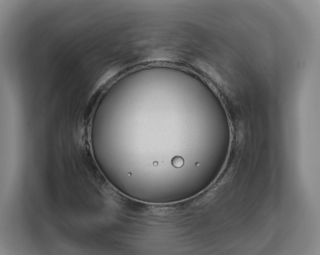 X0000113091258200909041142