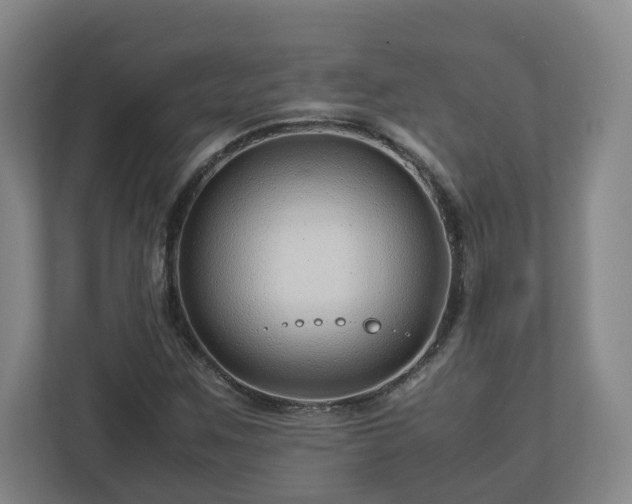 X0000113091259200909041142