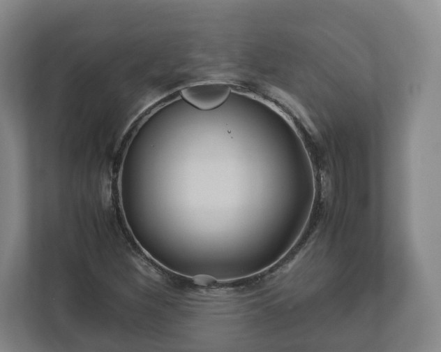 X0000113091260200909041142