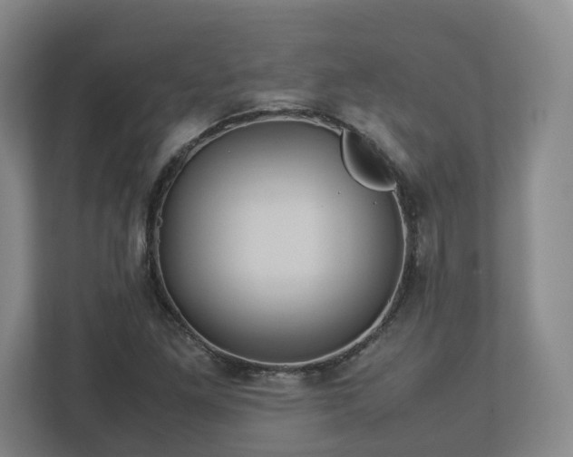 X0000113091261200909041142