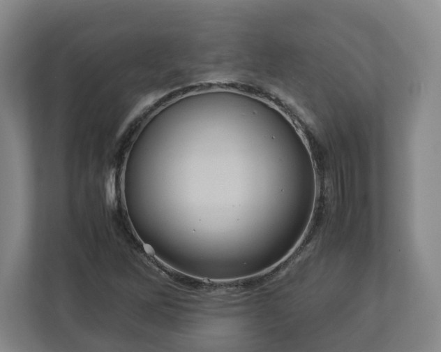 X0000113091262200909041142