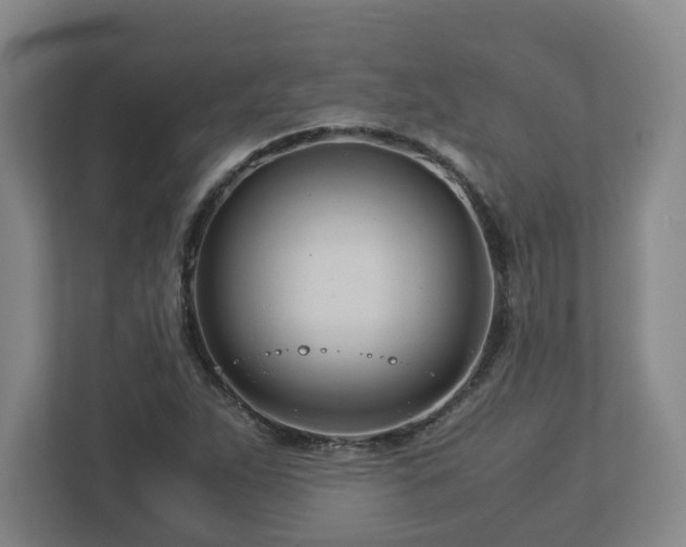 X0000113091263200909041142