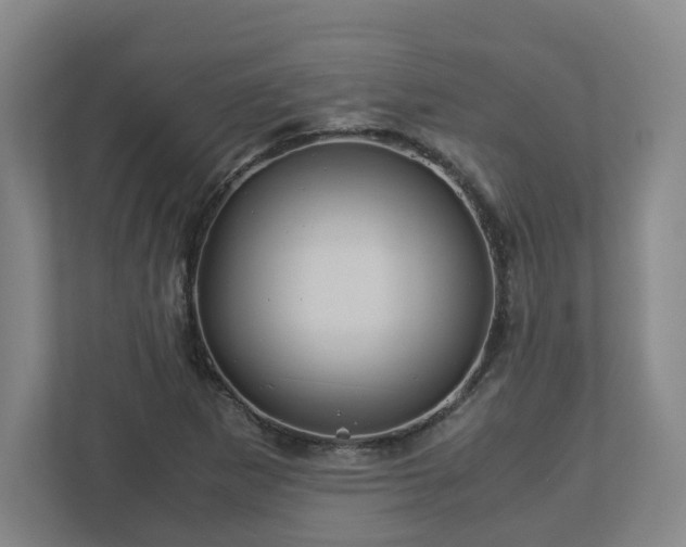 X0000113091265200909041142