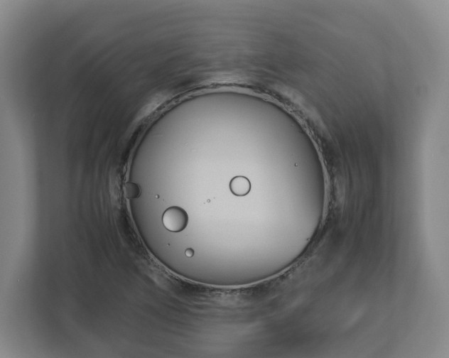 X0000113091266200909041142