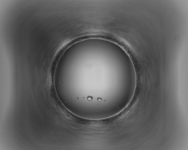 X0000113091267200909041142