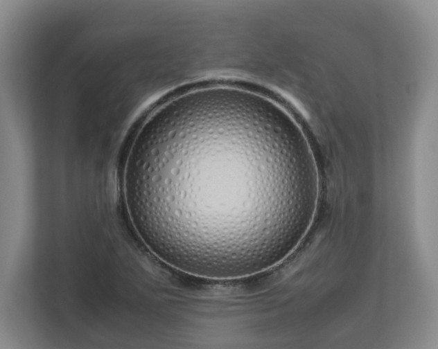 X0000113091271200909041142