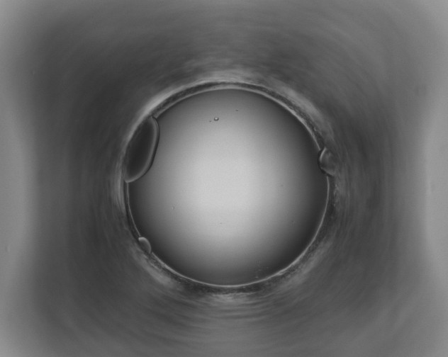 X0000113091272200909041142