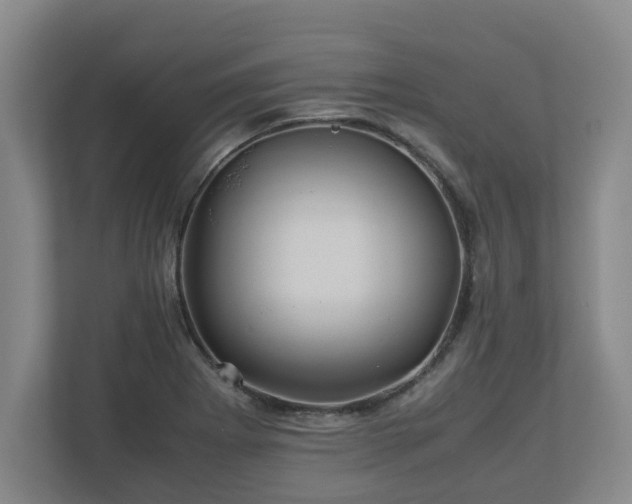X0000113091273200909041142