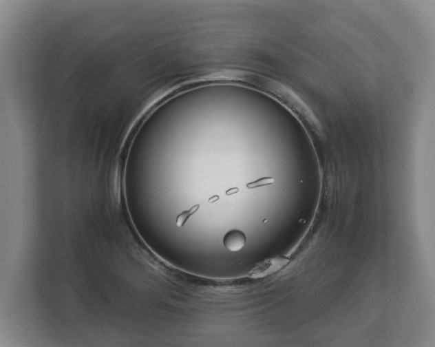 X0000113091276200909041142