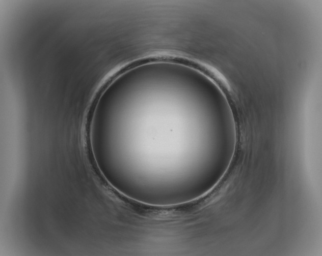 X0000113091279200909041142
