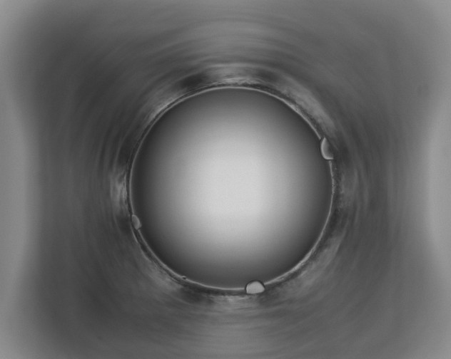 X0000113091281200909041142