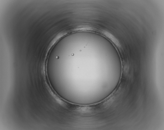 X0000113091282200909041142