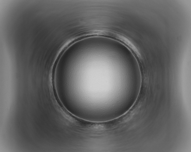 X0000113091283200909041142