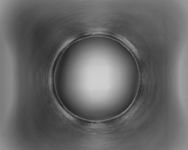 X0000113091285200909041141