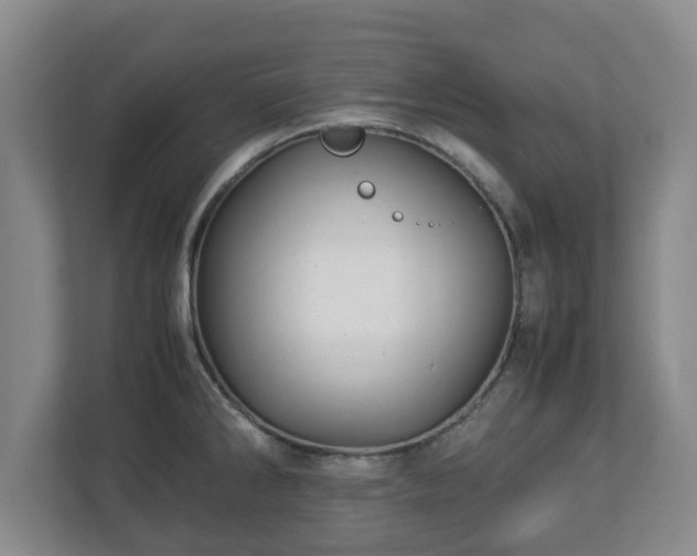 X0000113091286200909041141