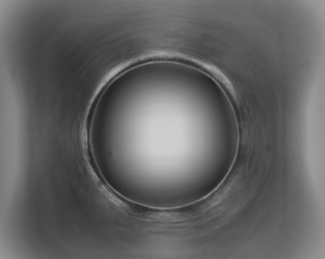 X0000113091287200909041141