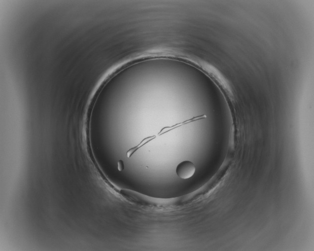X0000113091288200909041141