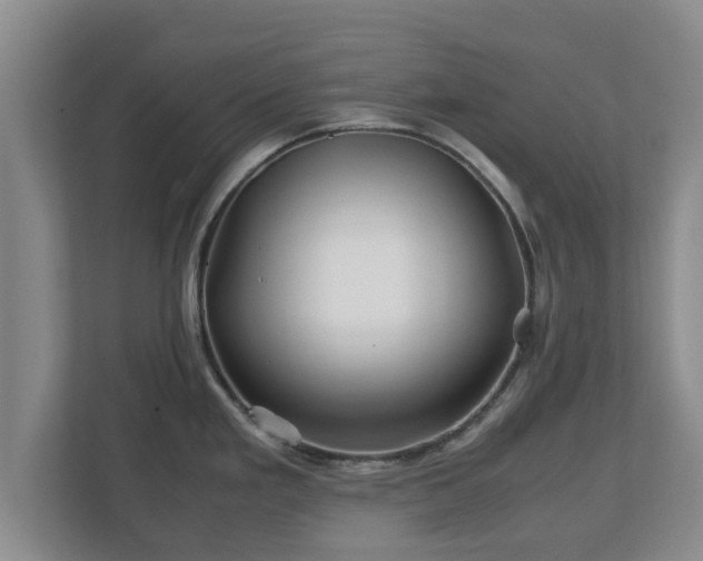 X0000113091293200909041141
