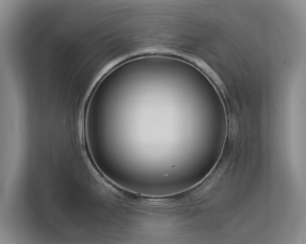 X0000113091295200909041141