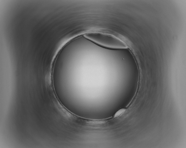 X0000113091296200909041141