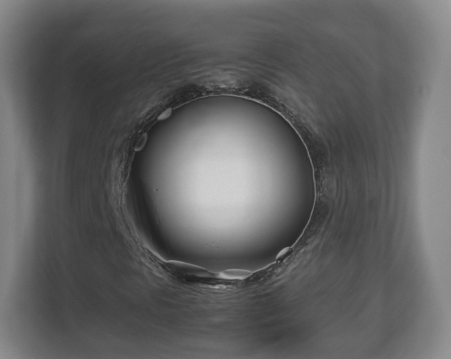 X0000113091297200909041141