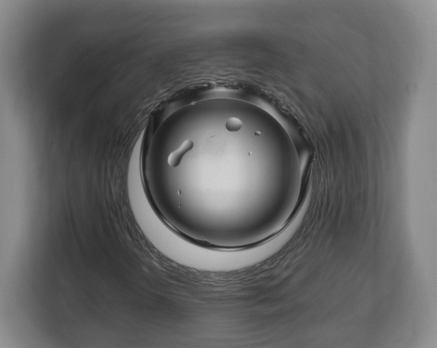 X0000113091298200909041141