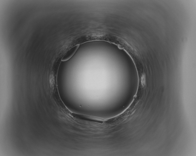 X0000113091299200909041141
