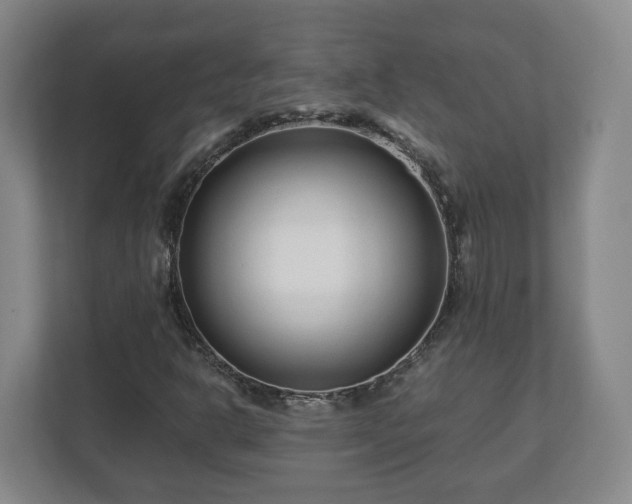 X0000113091302200909041141
