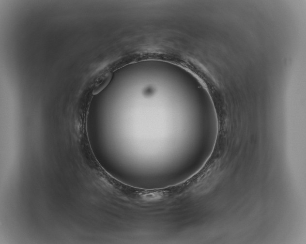 X0000113091303200909041141